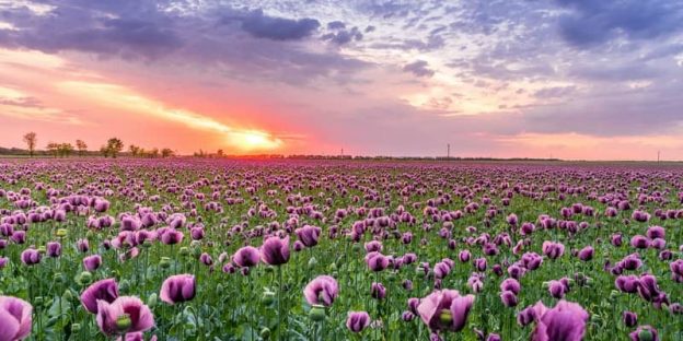 cremation services in Concord NH